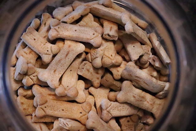 Homemade Dog Treats: Recipes and Tips